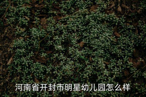 明星幼兒園，河南省開封市明星幼兒園怎么樣