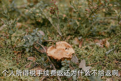 個人所得稅手續費返還為什么不給返啊