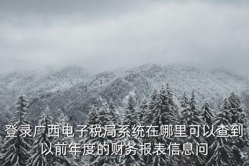 登錄廣西電子稅局系統(tǒng)在哪里可以查到以前年度的財務報表信息問