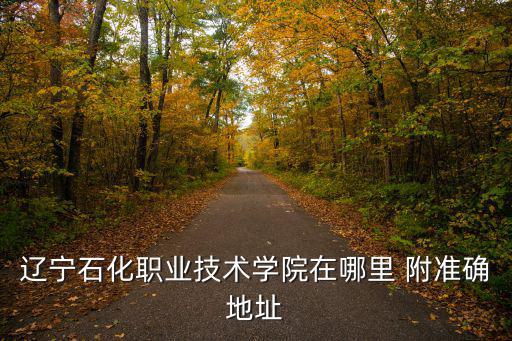 遼寧石化職業(yè)技術(shù)學(xué)院在哪里 附準(zhǔn)確地址