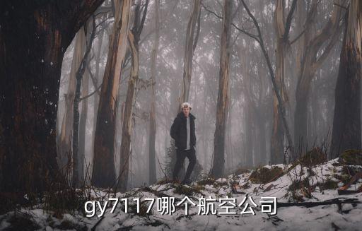 多彩貴州航空官網，天津到梵凈山方向的飛機票多少錢