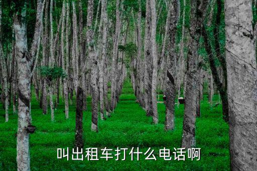 打出租車電話，出租車電話是多少手機丟在車上了能找到嗎