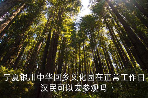 寧夏銀川中華回鄉(xiāng)文化園在正常工作日漢民可以去參觀嗎