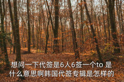 想問一下代簽是6人6簽一個to 是什么意思啊韓國代簽專輯是怎樣的