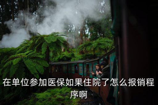 在單位參加醫(yī)保如果住院了怎么報(bào)銷程序啊