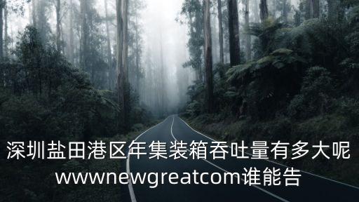 深圳鹽田港區年集裝箱吞吐量有多大呢wwwnewgreatcom誰能告