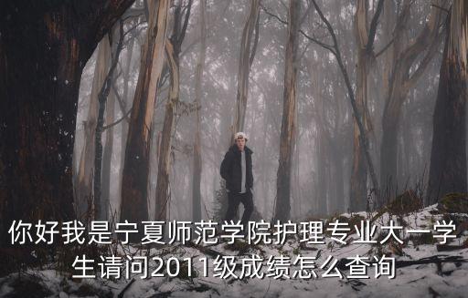 你好我是寧夏師范學院護理專業大一學生請問2011級成績怎么查詢
