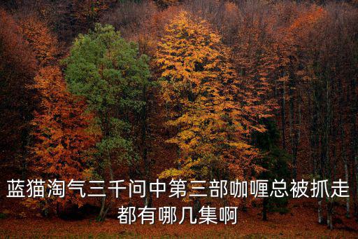 藍貓淘氣三千問中第三部咖喱總被抓走都有哪幾集啊