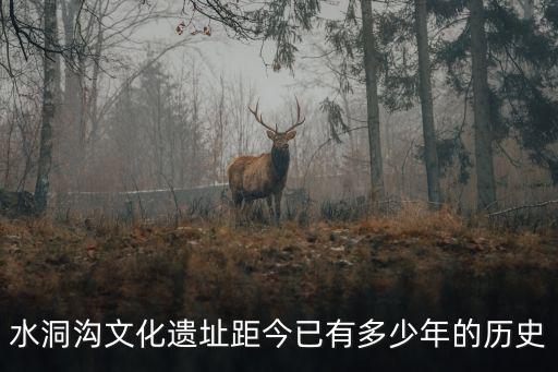 水洞溝文化遺址距今已有多少年的歷史