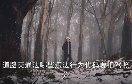 扣1分的違章有哪幾種，道路交通法哪些違法行為代碼要扣駕照分