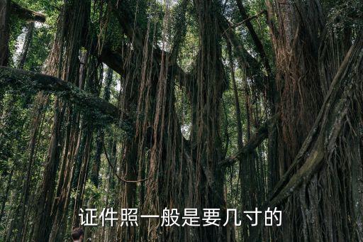 證件照一般是要幾寸的
