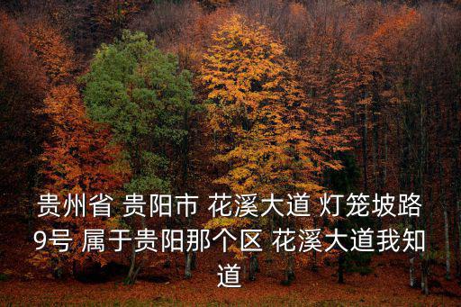 花溪大道，對(duì)了騰空的花溪大道用來(lái)干嘛