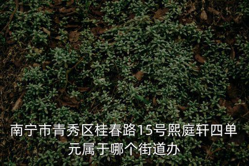 南寧市青秀區(qū)，南寧青秀區(qū)現(xiàn)在發(fā)展怎么樣適合投資什么項目如題 謝謝了  問