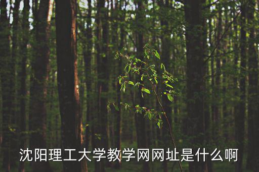 沈陽理工大學(xué)教學(xué)網(wǎng)網(wǎng)址是什么啊