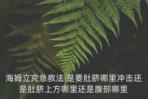 海姆立克急救法 是要肚臍哪里沖擊還是肚臍上方哪里還是腹部哪里