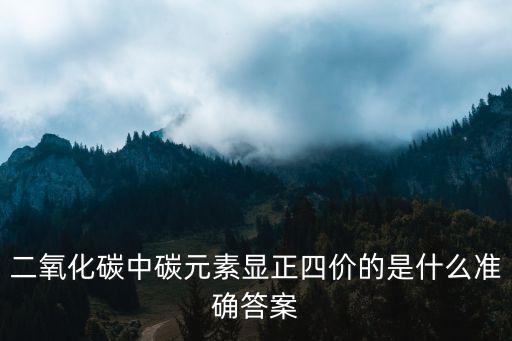 二氧化碳中碳元素顯正四價的是什么準確答案