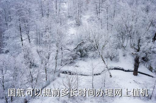 國航可以提前多長時間辦理網上值機