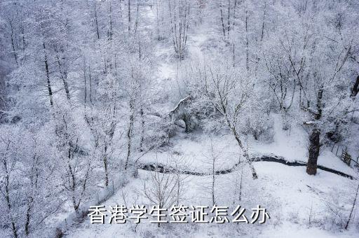 香港學生簽證怎么辦