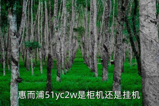 惠而浦51yc2w是柜機還是掛機