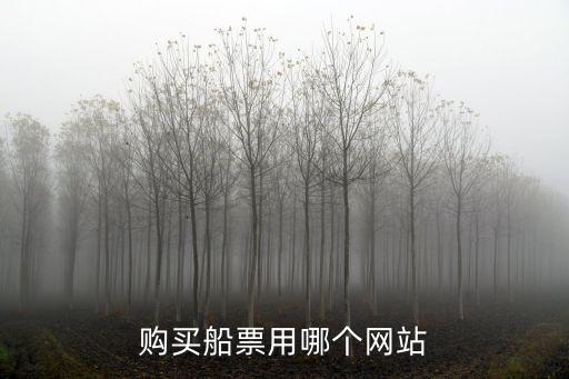 購買船票用哪個網站