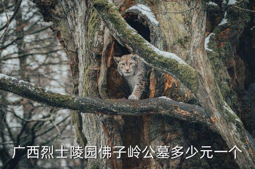 廣西烈士陵園，廣西烈士陵園具體地址 南寧市興寧區(qū)