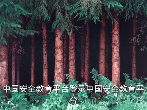 中國(guó)安全教育平臺(tái)登錄中國(guó)安全教育平臺(tái)