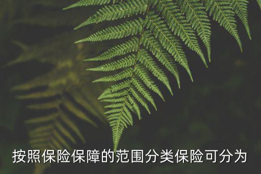 按照保險保障的范圍分類保險可分為