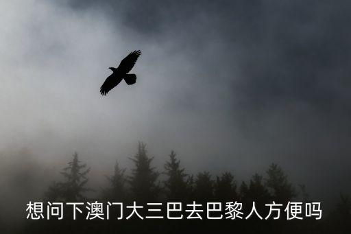 想問下澳門大三巴去巴黎人方便嗎