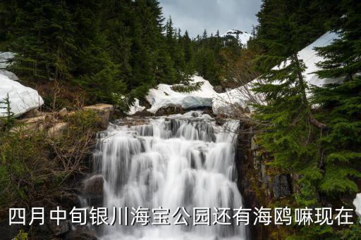 海寶公園，新余最美的公園是哪個