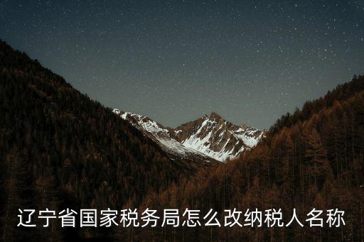 遼寧省國(guó)家稅務(wù)局怎么改納稅人名稱