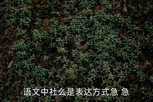 語文中社么是表達方式急 急