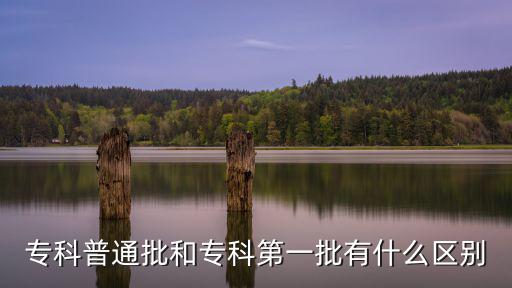 專科普通批和專科第一批有什么區別