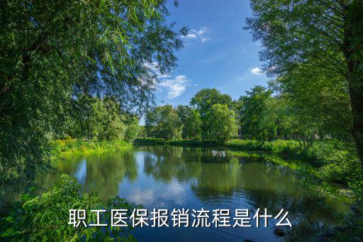 職工醫(yī)保報(bào)銷流程是什么