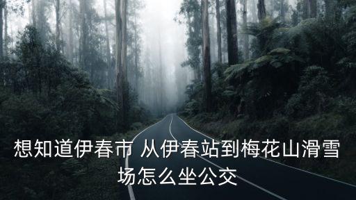 想知道伊春市 從伊春站到梅花山滑雪場(chǎng)怎么坐公交