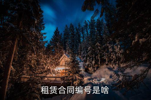 租賃合同編號是啥