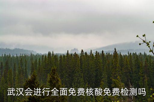武漢會進行全面免費核酸免費檢測嗎