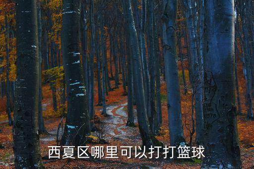 西夏區哪里可以打打籃球