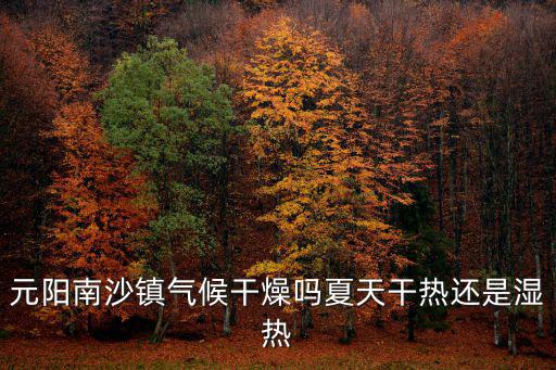 元陽南沙鎮氣候干燥嗎夏天干熱還是濕熱