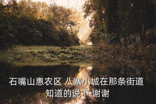 石嘴山惠農區 八寨小城在那條街道 知道的說下 謝謝