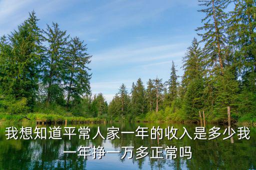 我想知道平常人家一年的收入是多少我一年掙一萬多正常嗎