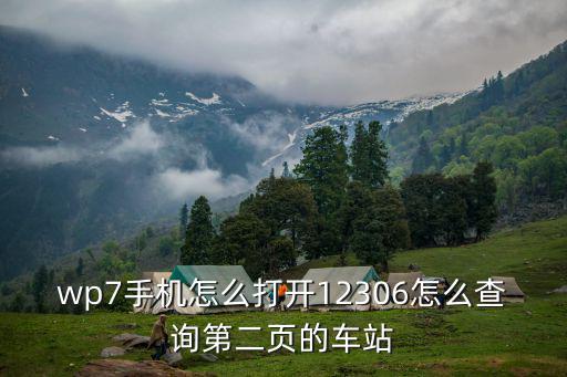 wp7手機怎么打開12306怎么查詢第二頁的車站