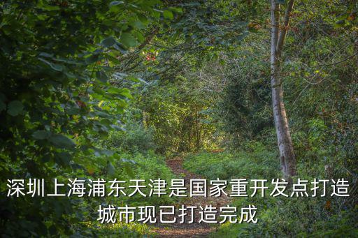 深圳上海浦東天津是國家重開發點打造城市現已打造完成