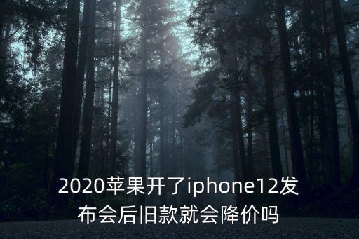 2020蘋果開了iphone12發(fā)布會后舊款就會降價嗎