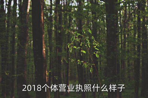 2018個體營業(yè)執(zhí)照什么樣子