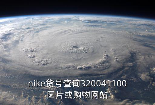 nike貨號(hào)查詢320041100圖片或購物網(wǎng)站
