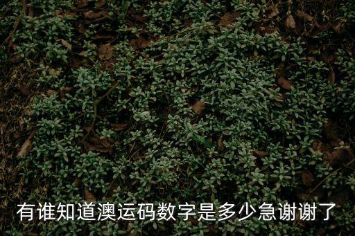 澳康碼，有誰知道澳運碼數字是多少急謝謝了
