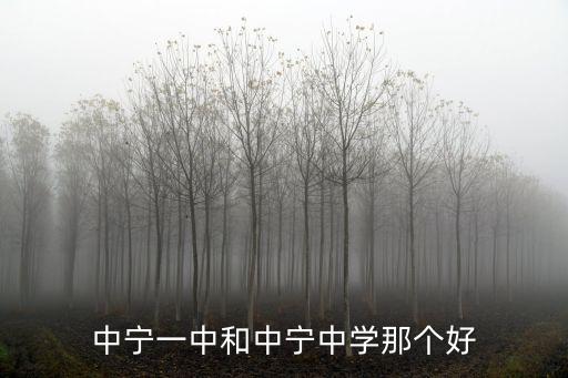 中寧中學，中寧中學08屆畢業(yè)的畢業(yè)證上校長是誰的名字