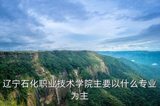 遼寧石化職業(yè)技術(shù)學(xué)院主要以什么專業(yè)為主