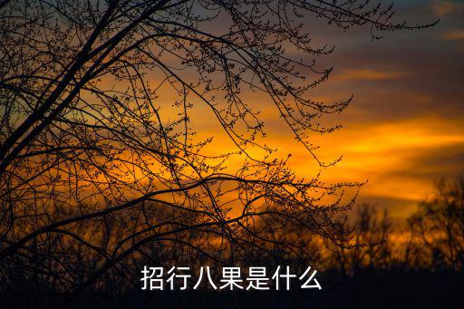 招行八果是什么
