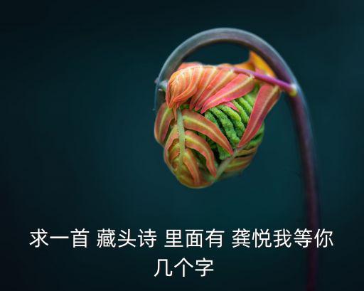 龔悅，龔悅娢名字寓意是什么這個名字好嗎